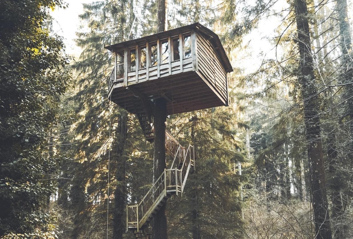 Prenez de la hauteur avec les cabanes dans les arbres