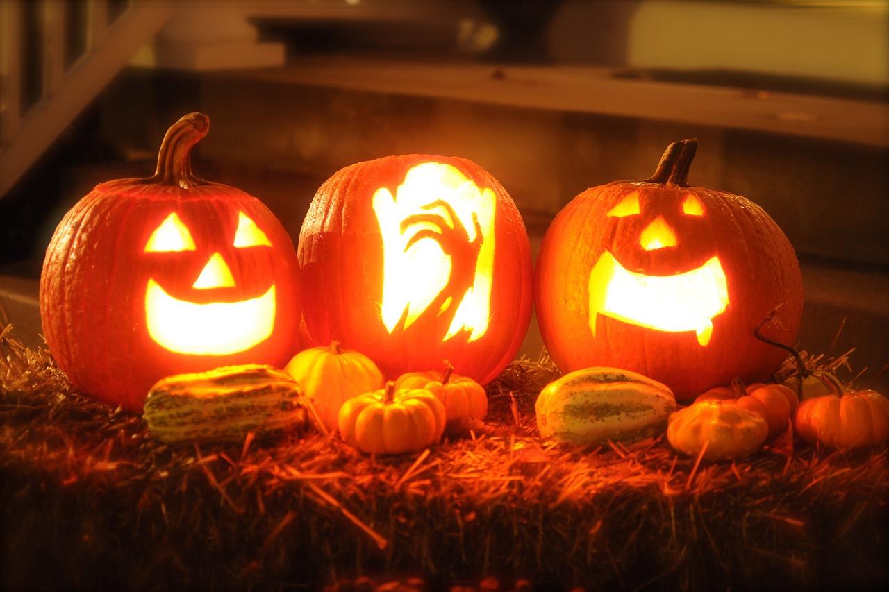 Épouvantes Citrouilles : Halloween en Terreur Orange !