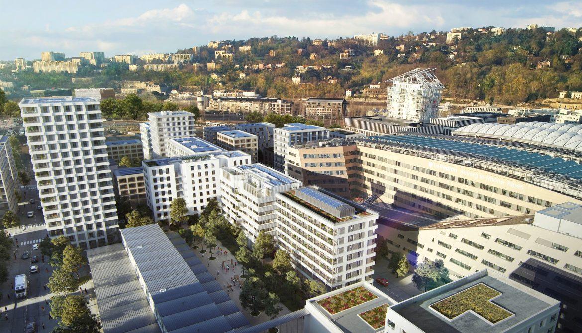 Appartement Albizzia